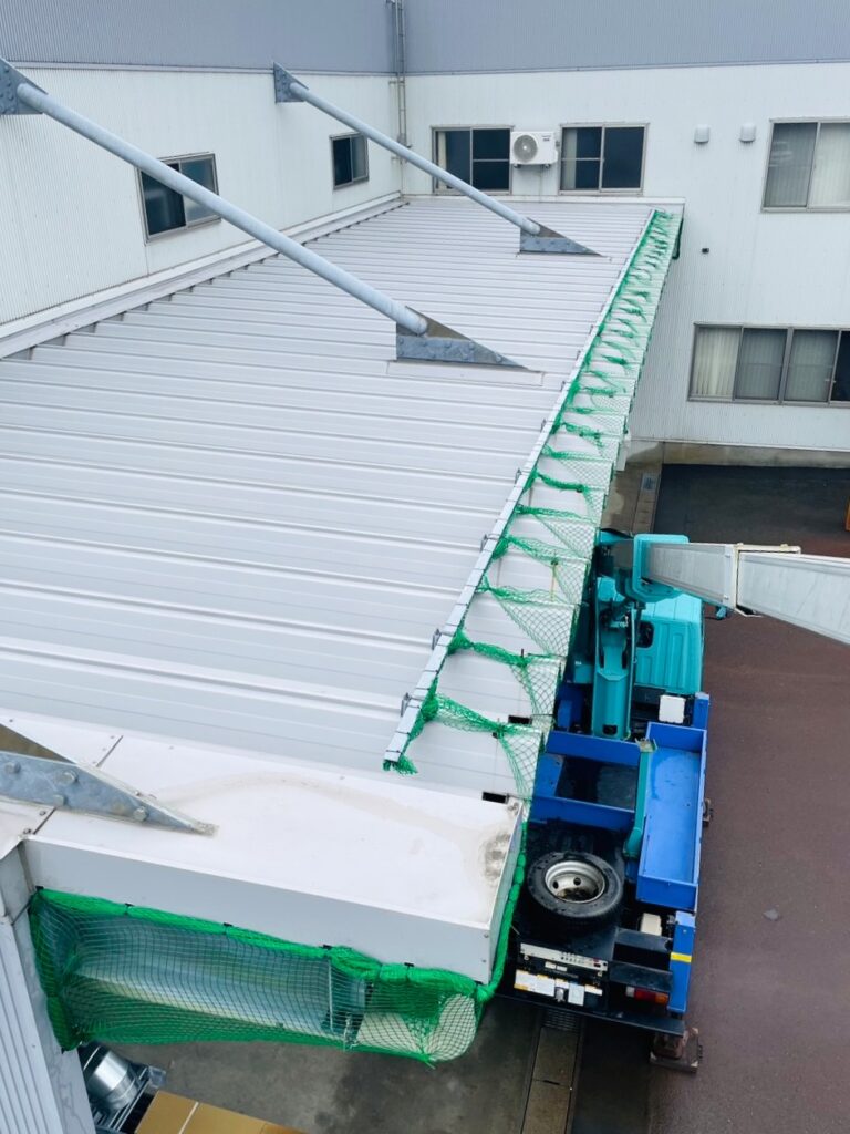上からみた屋根の様子。すき間なくネットが張ってあり、鳥の侵入を防ぎます。