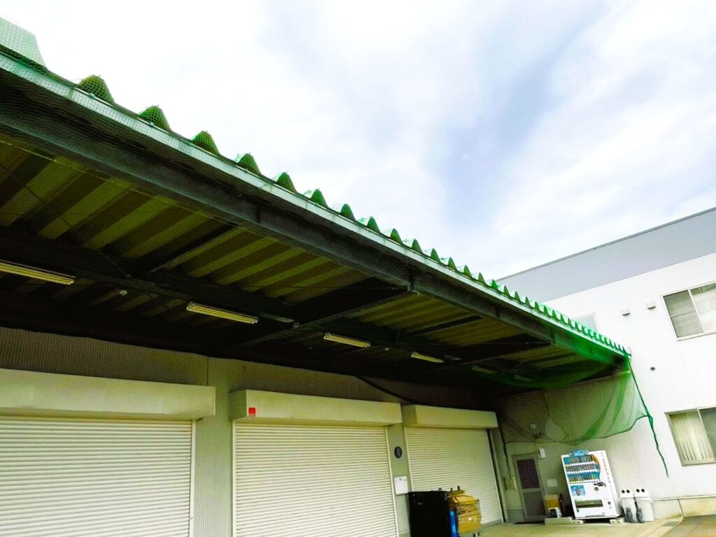 大きな屋根全体に、防鳥ネットを張り込みました